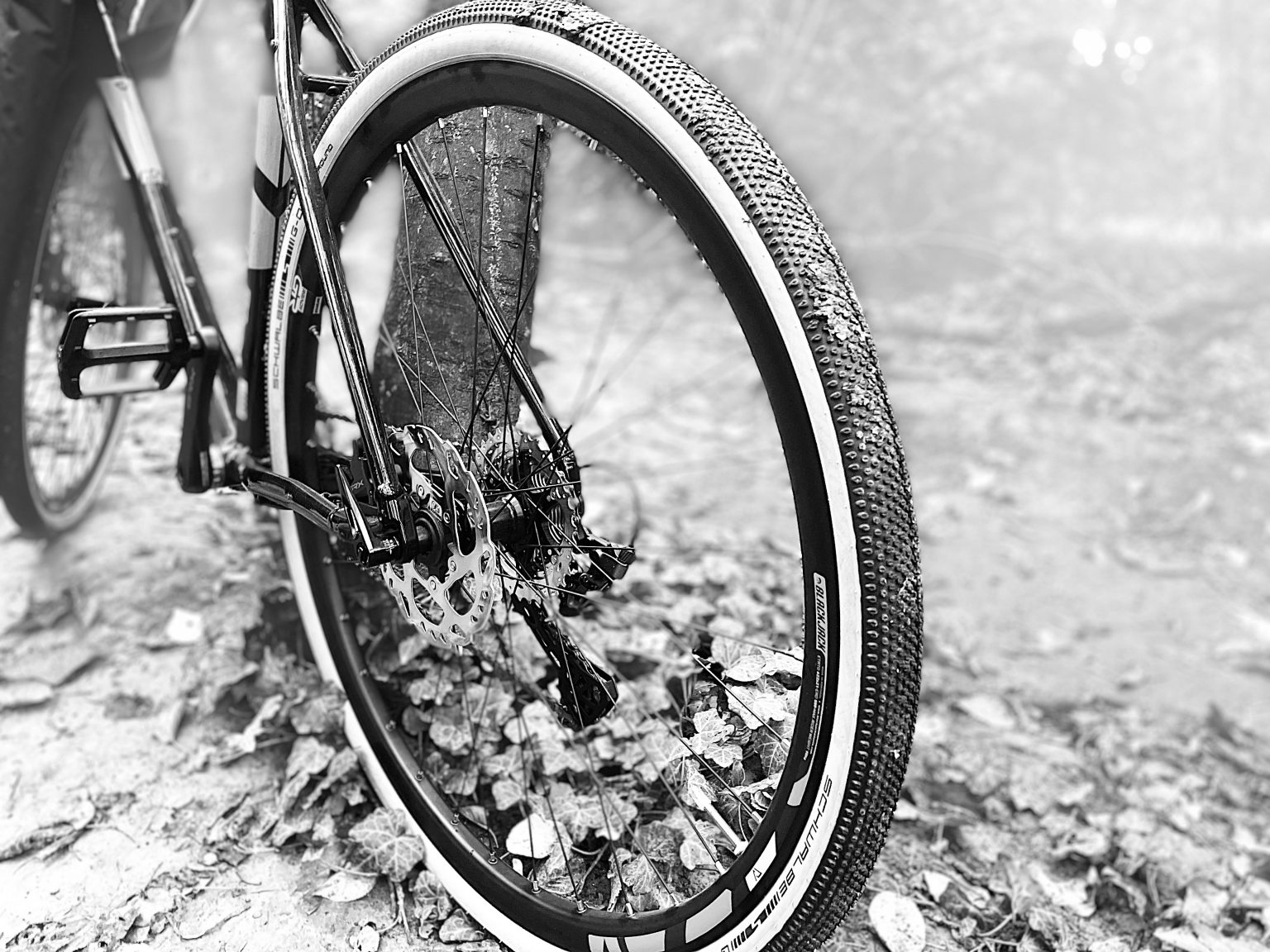 b_Gravel RADSPORTLIFE